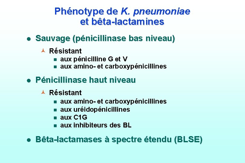 Phénotype de K. pneumoniae et bêta-lactamines l Sauvage (pénicillinase bas niveau) © Résistant n
