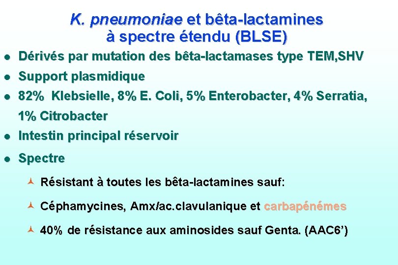 K. pneumoniae et bêta-lactamines à spectre étendu (BLSE) l Dérivés par mutation des bêta-lactamases