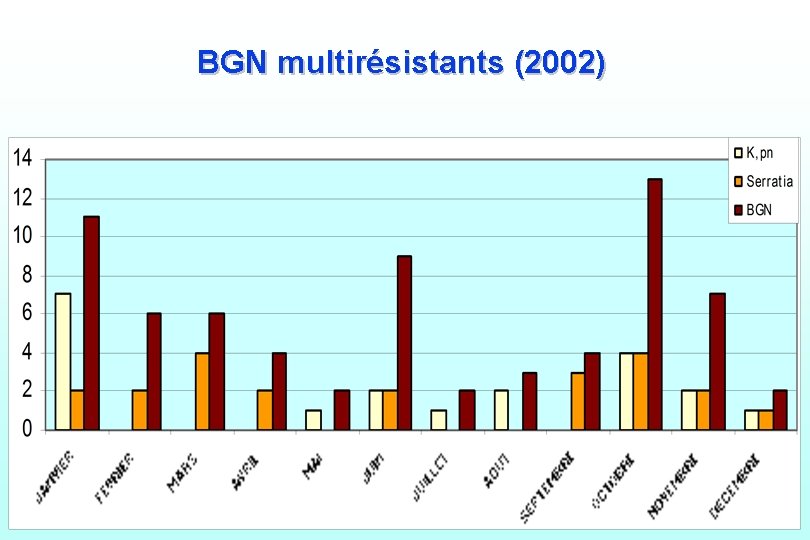 BGN multirésistants (2002) 