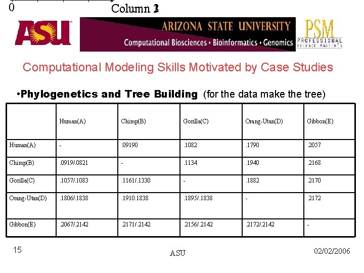 0 Column 132 Computational Modeling Skills Motivated by Case Studies • Phylogenetics and Tree