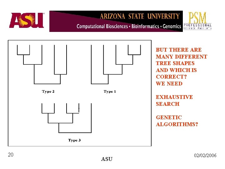 BUT THERE ARE MANY DIFFERENT TREE SHAPES AND WHICH IS CORRECT? WE NEED EXHAUSTIVE