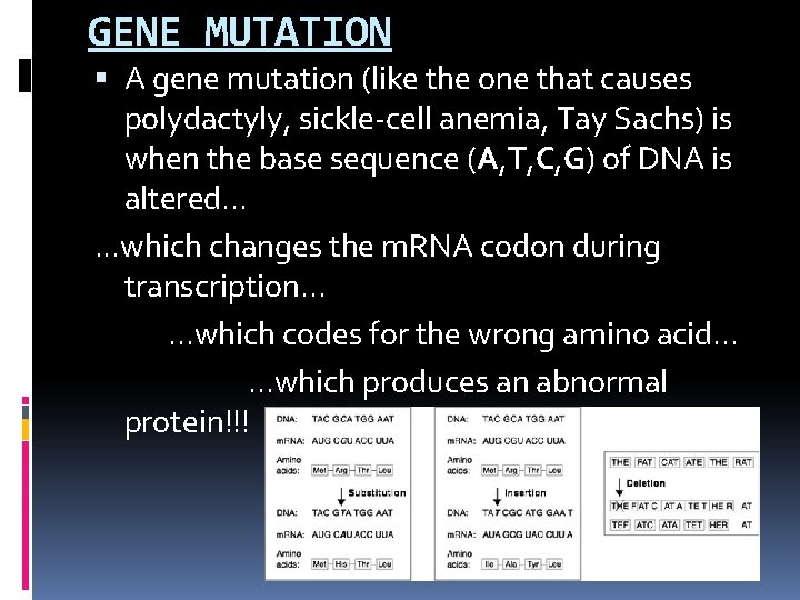 GENE MUTATION A gene mutation (like the one that causes polydactyly, sickle-cell anemia, Tay