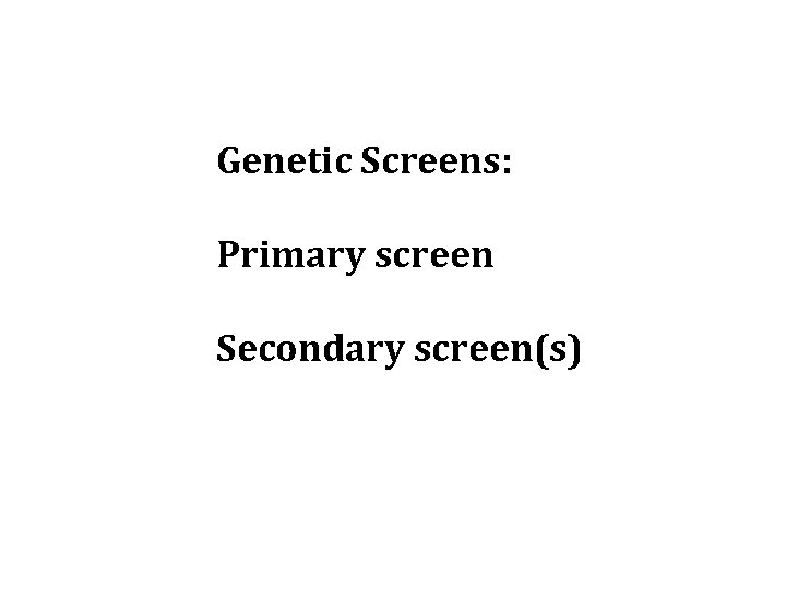 Genetic Screens: Primary screen Secondary screen(s) 