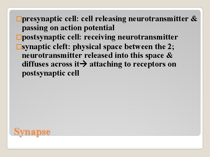 �presynaptic cell: cell releasing neurotransmitter & passing on action potential �postsynaptic cell: receiving neurotransmitter
