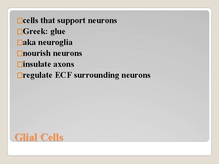 �cells that support neurons �Greek: glue �aka neuroglia �nourish neurons �insulate axons �regulate ECF