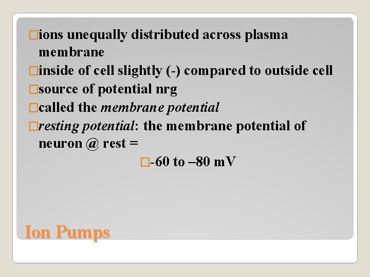 �ions unequally distributed across plasma membrane �inside of cell slightly (-) compared to outside