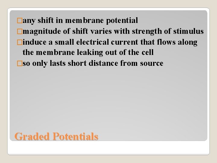 �any shift in membrane potential �magnitude of shift varies with strength of stimulus �induce