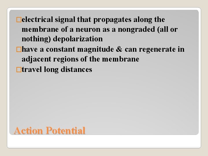 �electrical signal that propagates along the membrane of a neuron as a nongraded (all