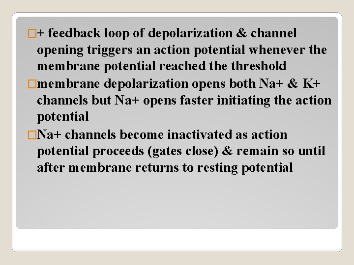 �+ feedback loop of depolarization & channel opening triggers an action potential whenever the
