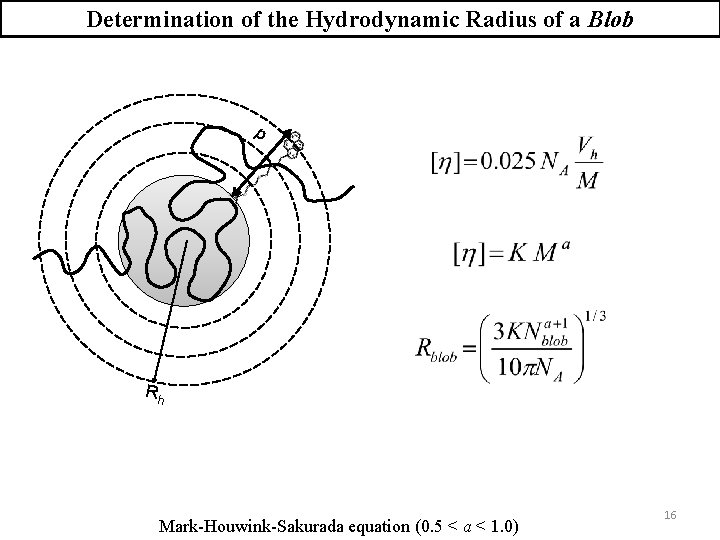 Determination of the Hydrodynamic Radius of a Blob d Rh Mark-Houwink-Sakurada equation (0. 5