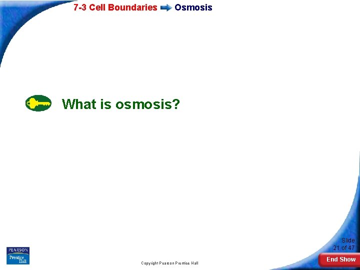 7 -3 Cell Boundaries Osmosis What is osmosis? Slide 21 of 47 Copyright Pearson