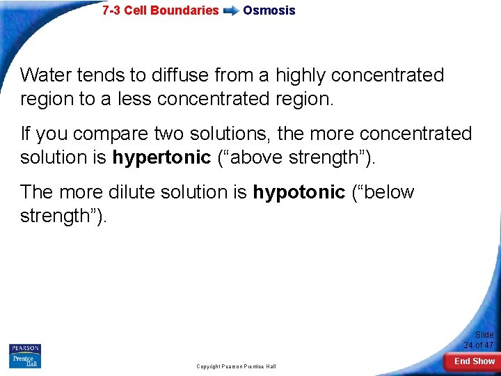 7 -3 Cell Boundaries Osmosis Water tends to diffuse from a highly concentrated region