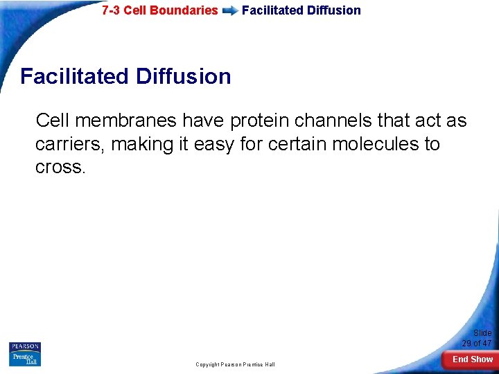 7 -3 Cell Boundaries Facilitated Diffusion Cell membranes have protein channels that act as