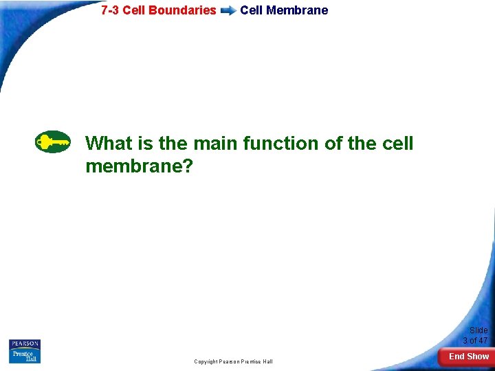 7 -3 Cell Boundaries Cell Membrane What is the main function of the cell