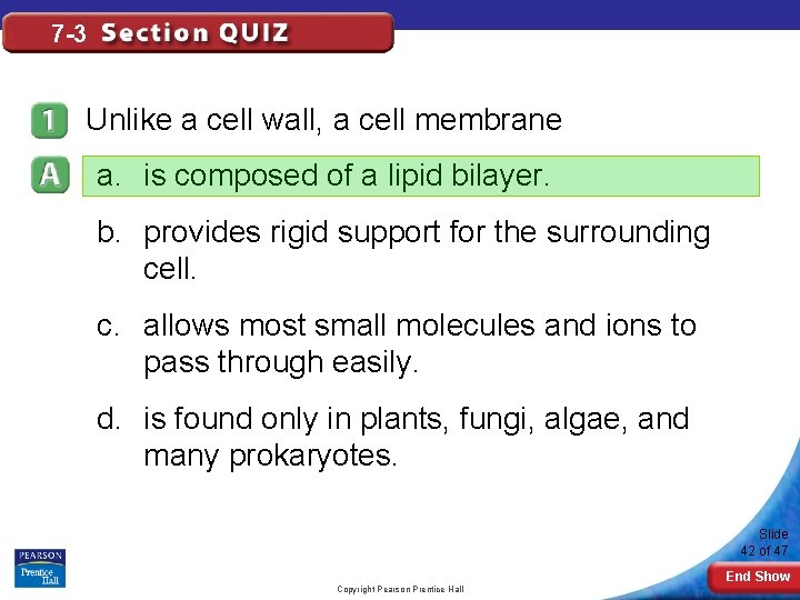 7 -3 Unlike a cell wall, a cell membrane a. is composed of a