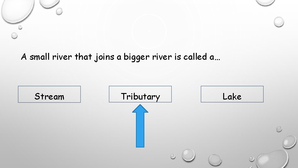 A small river that joins a bigger river is called a… Stream Tributary Lake