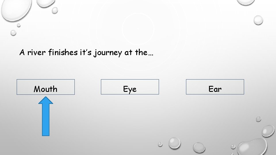 A river finishes it’s journey at the… Mouth Eye Ear 