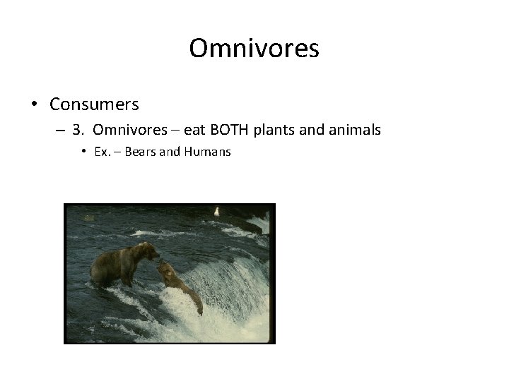 Omnivores • Consumers – 3. Omnivores – eat BOTH plants and animals • Ex.