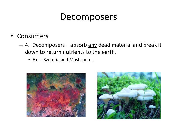 Decomposers • Consumers – 4. Decomposers – absorb any dead material and break it