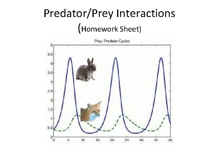 Predator/Prey Interactions (Homework Sheet) 