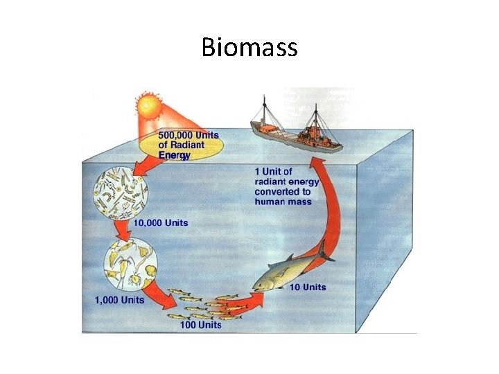 Biomass 