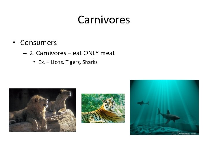 Carnivores • Consumers – 2. Carnivores – eat ONLY meat • Ex. – Lions,