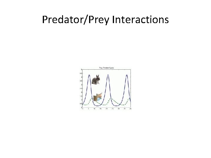 Predator/Prey Interactions 