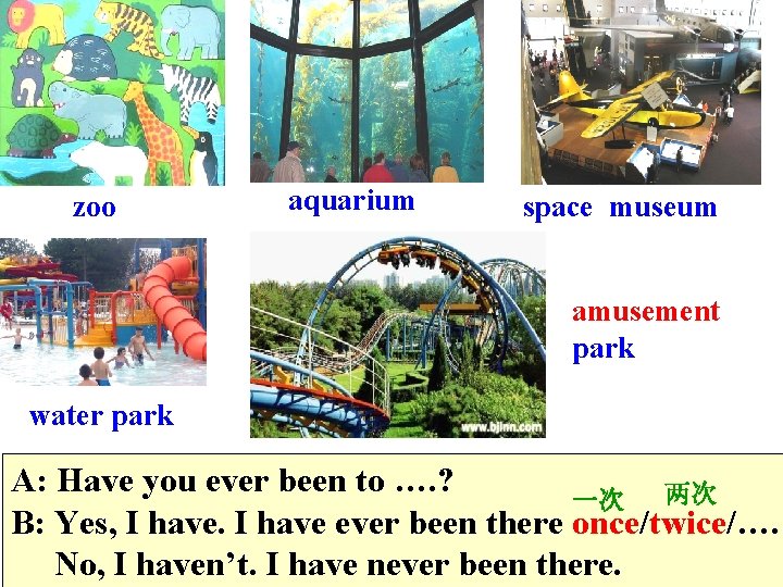 zoo aquarium space museum amusement park water park A: Have you ever been to