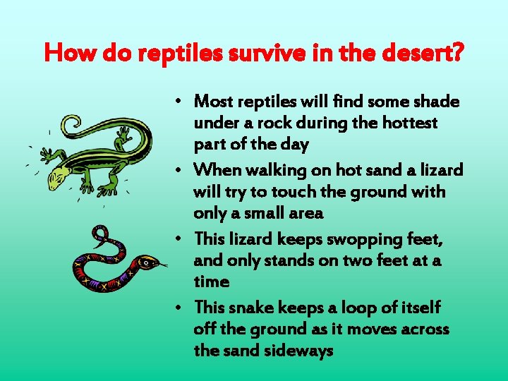 How do reptiles survive in the desert? • Most reptiles will find some shade