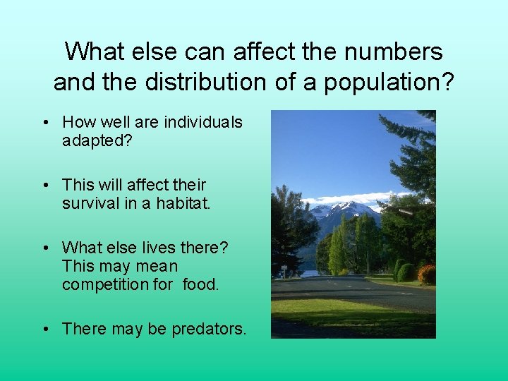 What else can affect the numbers and the distribution of a population? • How