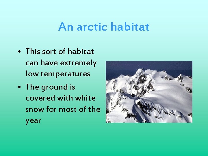 An arctic habitat • This sort of habitat can have extremely low temperatures •