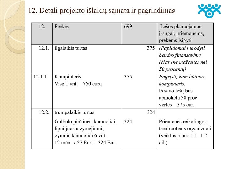 12. Detali projekto išlaidų sąmata ir pagrindimas 