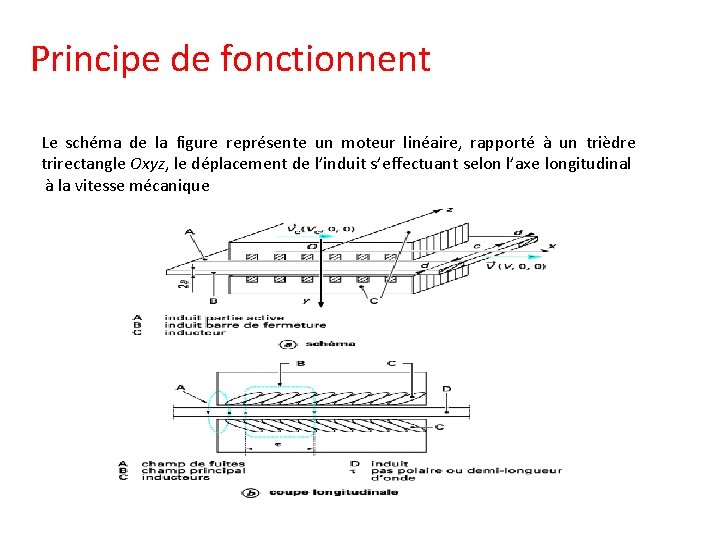 Principe de fonctionnent Le schéma de la figure représente un moteur linéaire, rapporté à