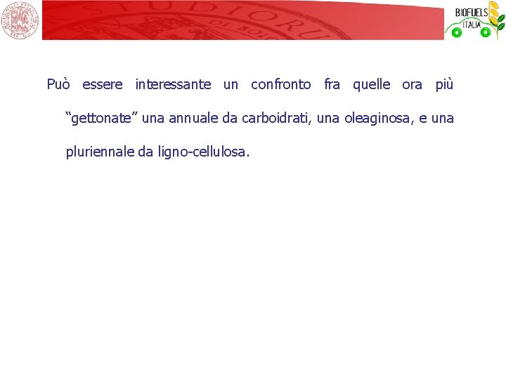 Può essere interessante un confronto fra quelle ora più “gettonate” una annuale da carboidrati,