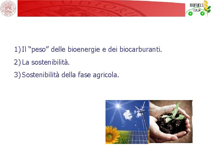 1) Il “peso” delle bioenergie e dei biocarburanti. 2) La sostenibilità. 3) Sostenibilità della