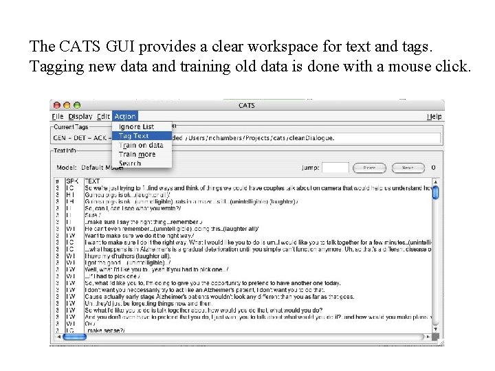 The CATS GUI provides a clear workspace for text and tags. Tagging new data