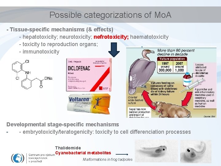 Possible categorizations of Mo. A - Tissue-specific mechanisms (& effects) - hepatotoxicity; neurotoxicity; nefrotoxicity;