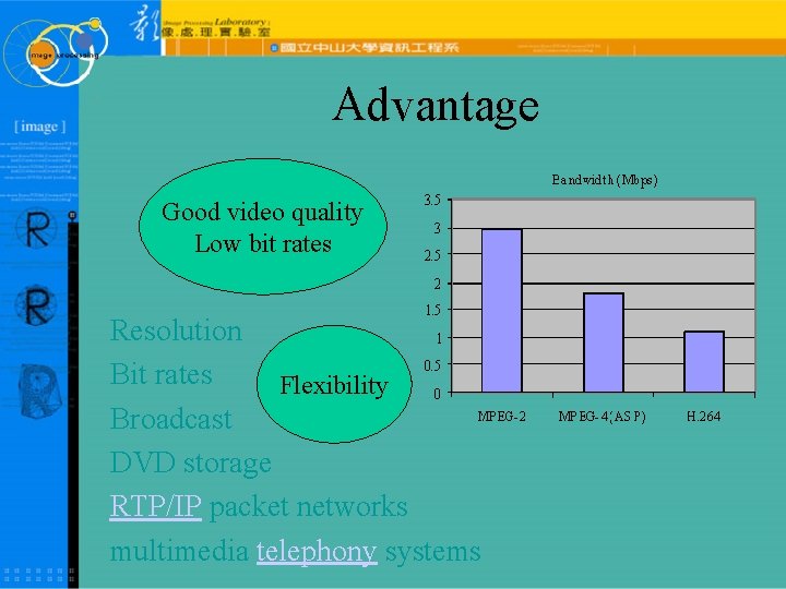 Advantage Good video quality Low bit rates Resolution Bit rates Flexibility Broadcast DVD storage