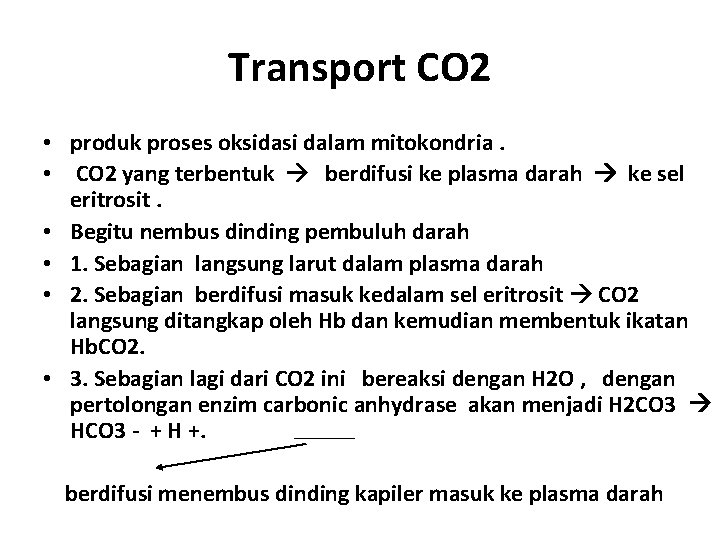 Transport CO 2 • produk proses oksidasi dalam mitokondria. • CO 2 yang terbentuk