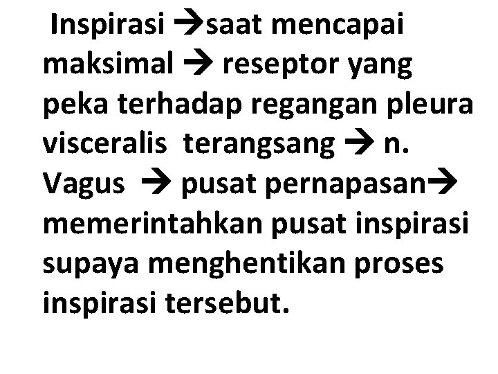  Inspirasi saat mencapai maksimal reseptor yang peka terhadap regangan pleura visceralis terangsang n.