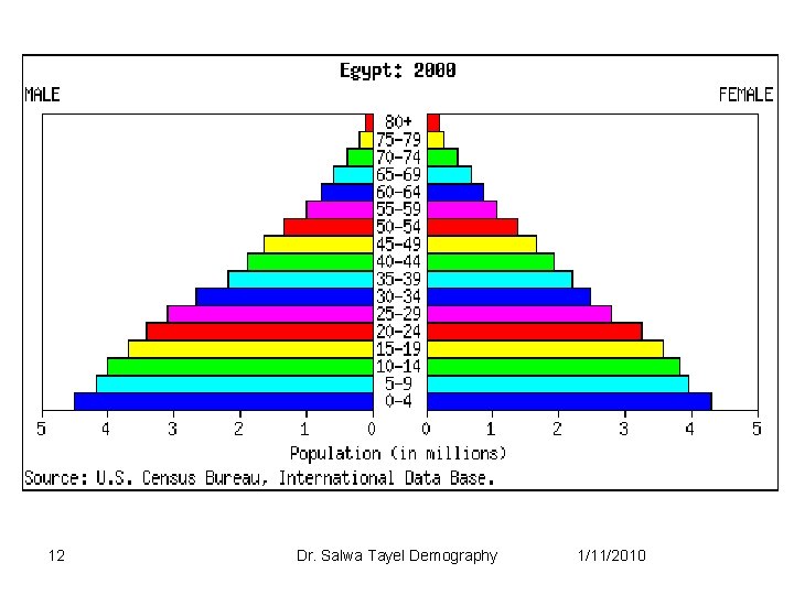 12 Dr. Salwa Tayel Demography 1/11/2010 