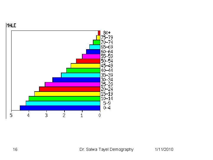 16 Dr. Salwa Tayel Demography 1/11/2010 