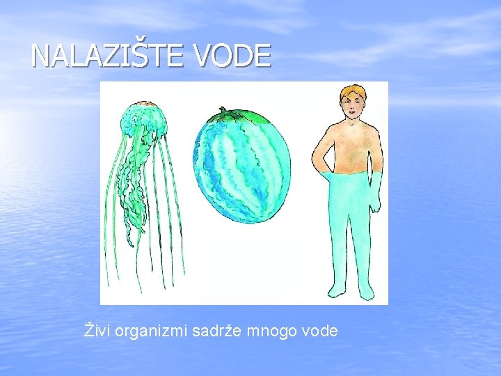 NALAZIŠTE VODE Živi organizmi sadrže mnogo vode 