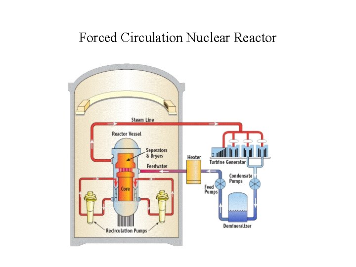 Forced Circulation Nuclear Reactor 