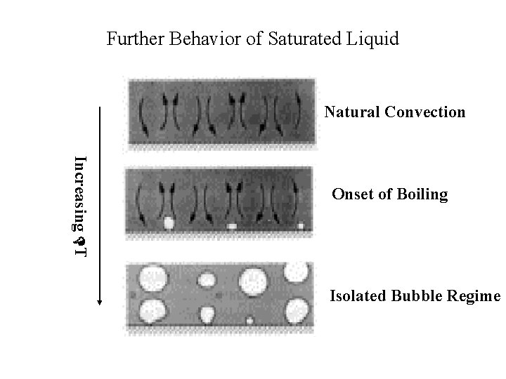 Further Behavior of Saturated Liquid Natural Convection Increasing DT Onset of Boiling Isolated Bubble