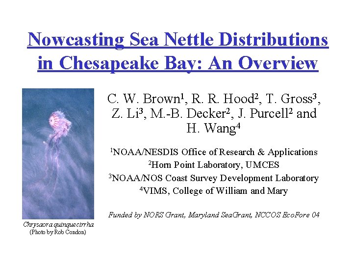 Nowcasting Sea Nettle Distributions in Chesapeake Bay: An Overview C. W. Brown 1, R.