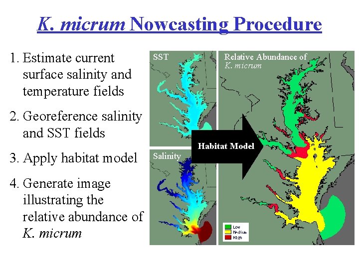 K. micrum Nowcasting Procedure 1. Estimate current surface salinity and temperature fields SST Relative