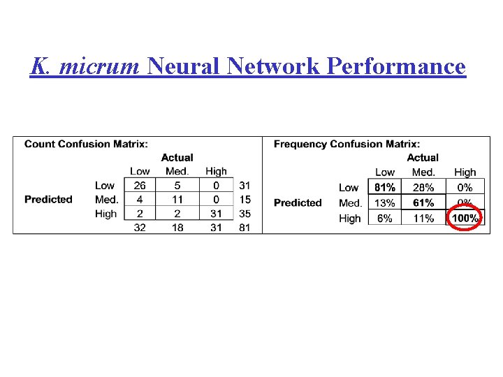 K. micrum Neural Network Performance 