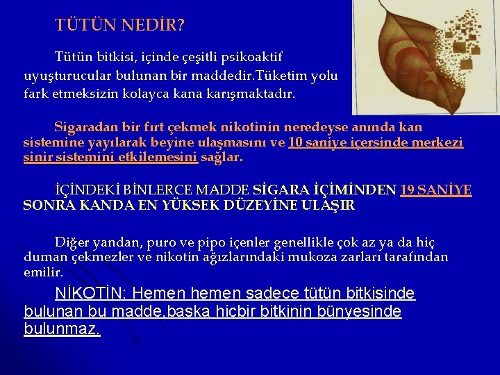 TÜTÜN NEDİR? Tütün bitkisi, içinde çeşitli psikoaktif uyuşturucular bulunan bir maddedir. Tüketim yolu fark