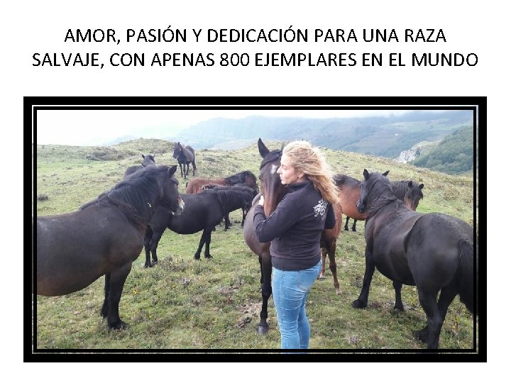 AMOR, PASIÓN Y DEDICACIÓN PARA UNA RAZA SALVAJE, CON APENAS 800 EJEMPLARES EN EL